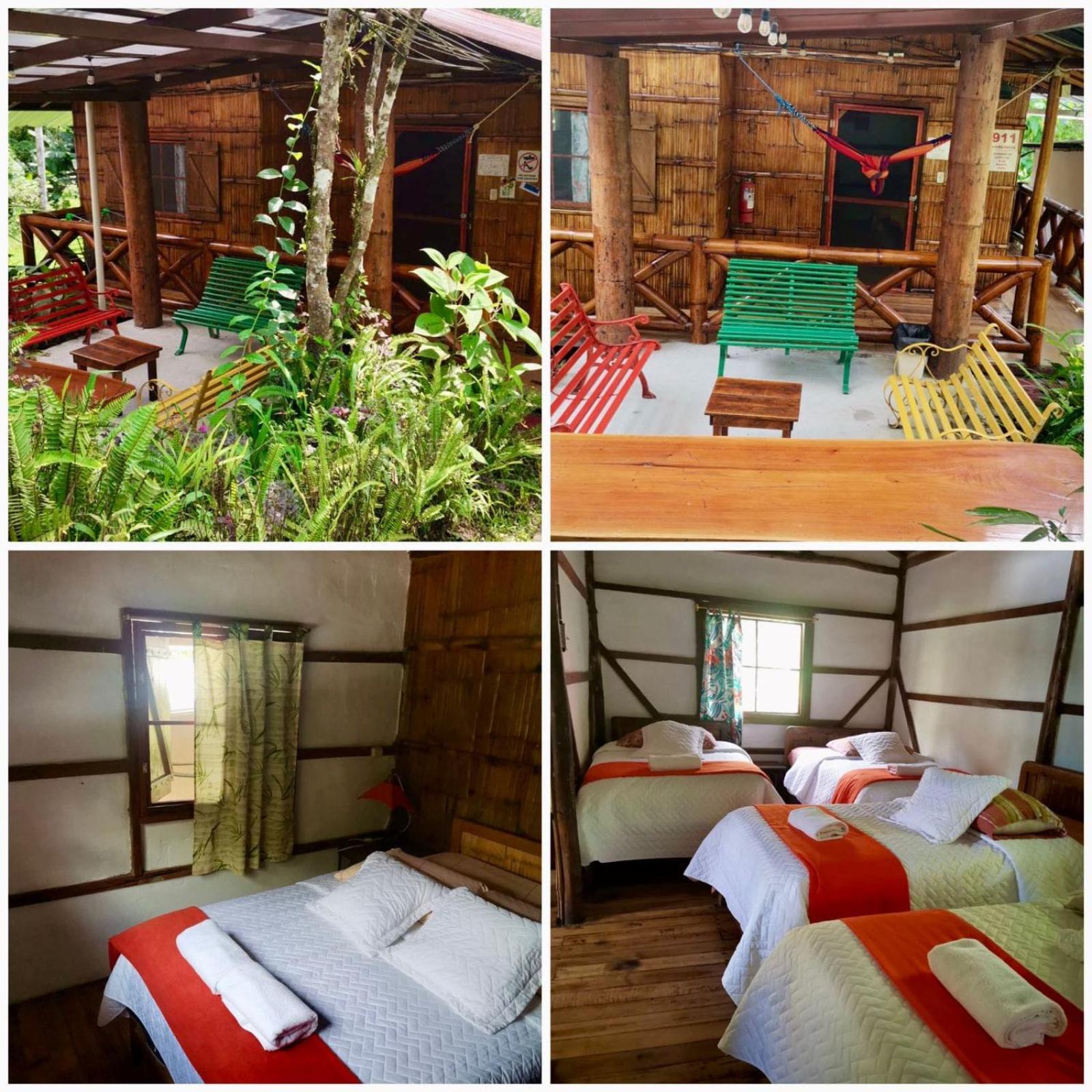 Cabanas Bambu Mindo Exteriér fotografie
