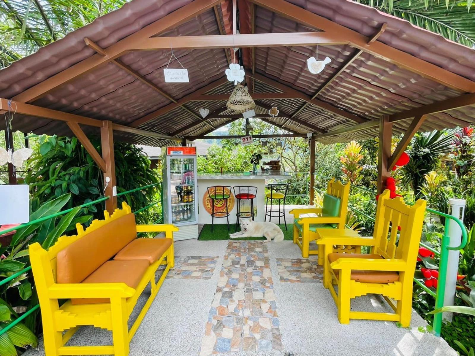 Cabanas Bambu Mindo Exteriér fotografie
