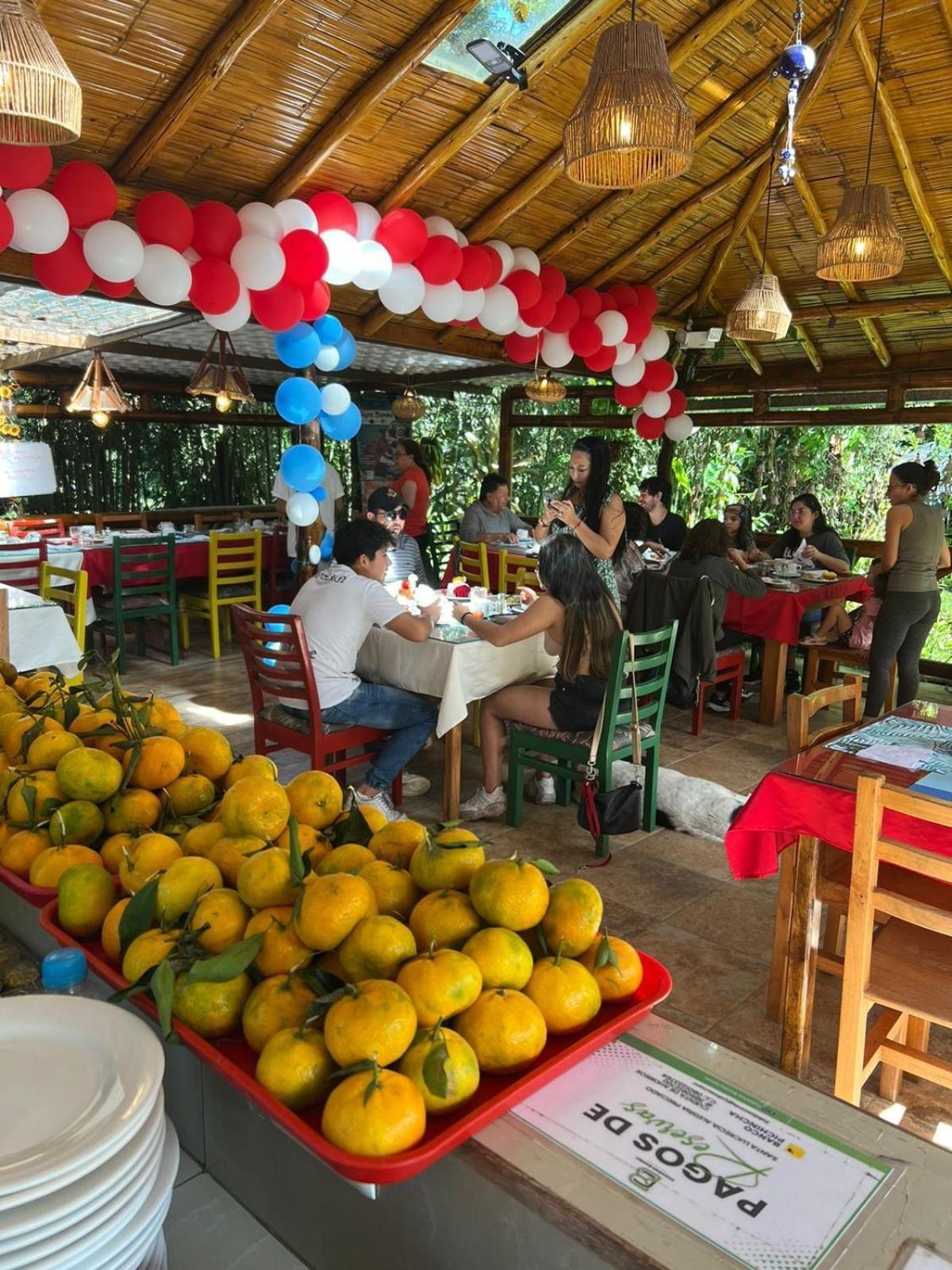 Cabanas Bambu Mindo Exteriér fotografie